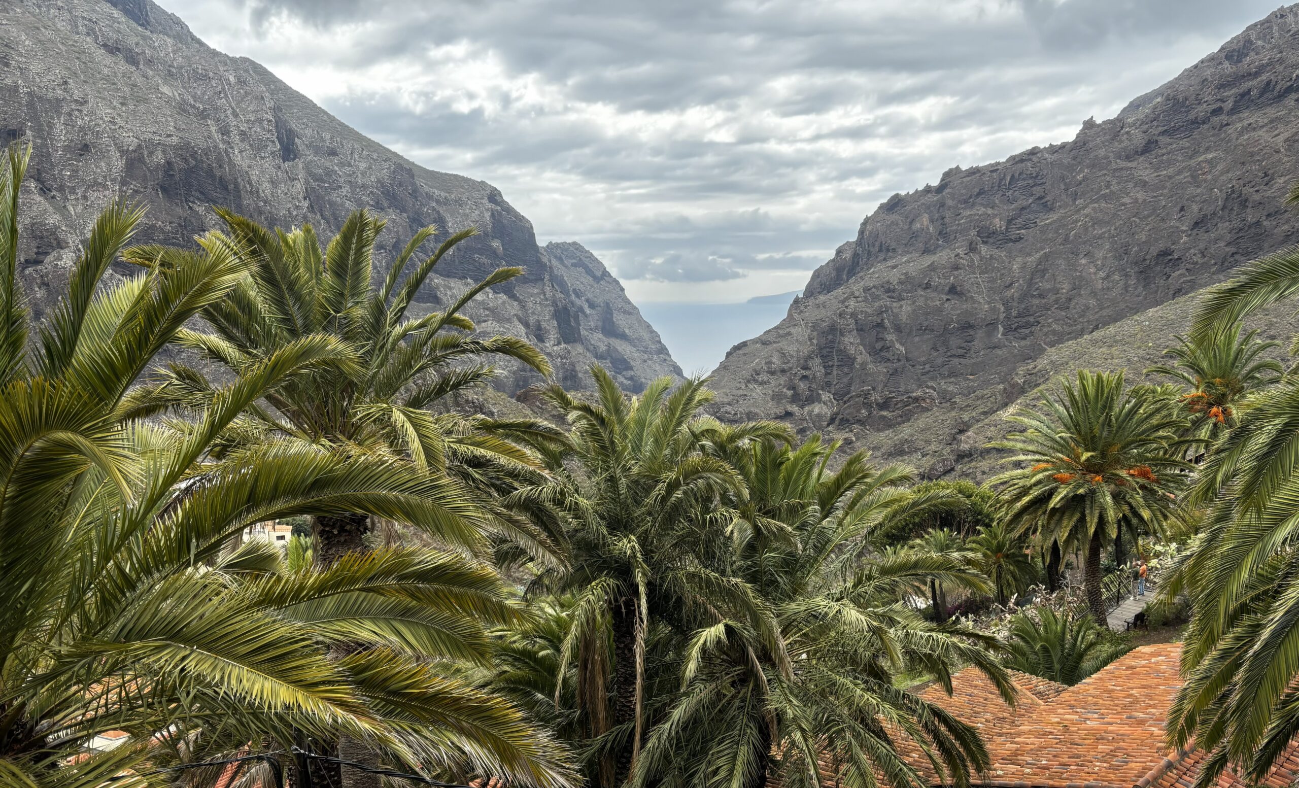 dovolenka na Tenerife - Masca